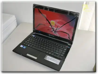 Замена матрицы Packard Bell в Нижнекамске